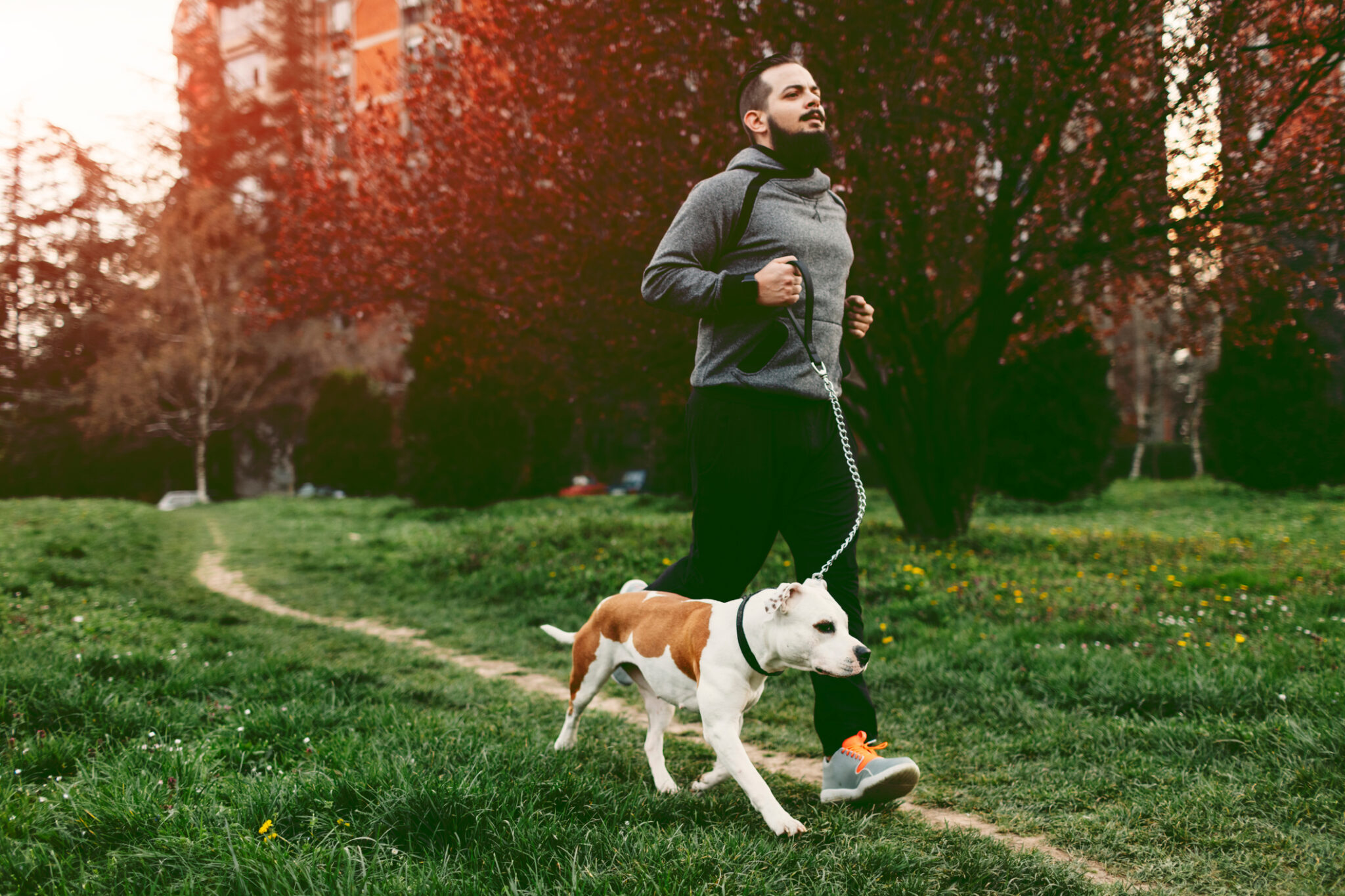man-jogging-with-his-dog