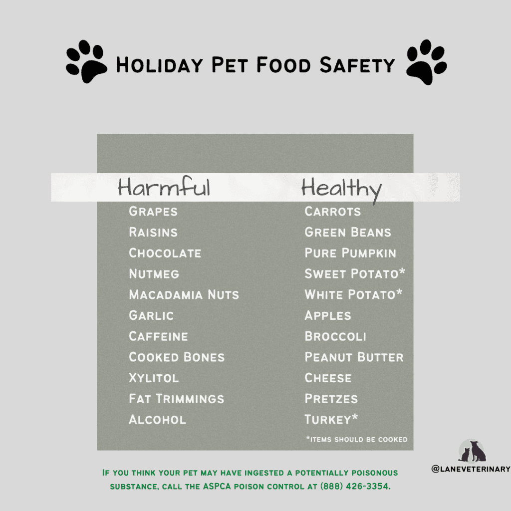 holiday-pet-food-safety-chart