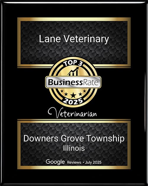 award plaque that states "Lane Veterinary Top 3 BusinesssRate 2025 Veterinarian Downers Grove Township Illinois Google Reviews July 2025"